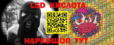 2c-b Гатчина