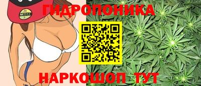 бутират Гай